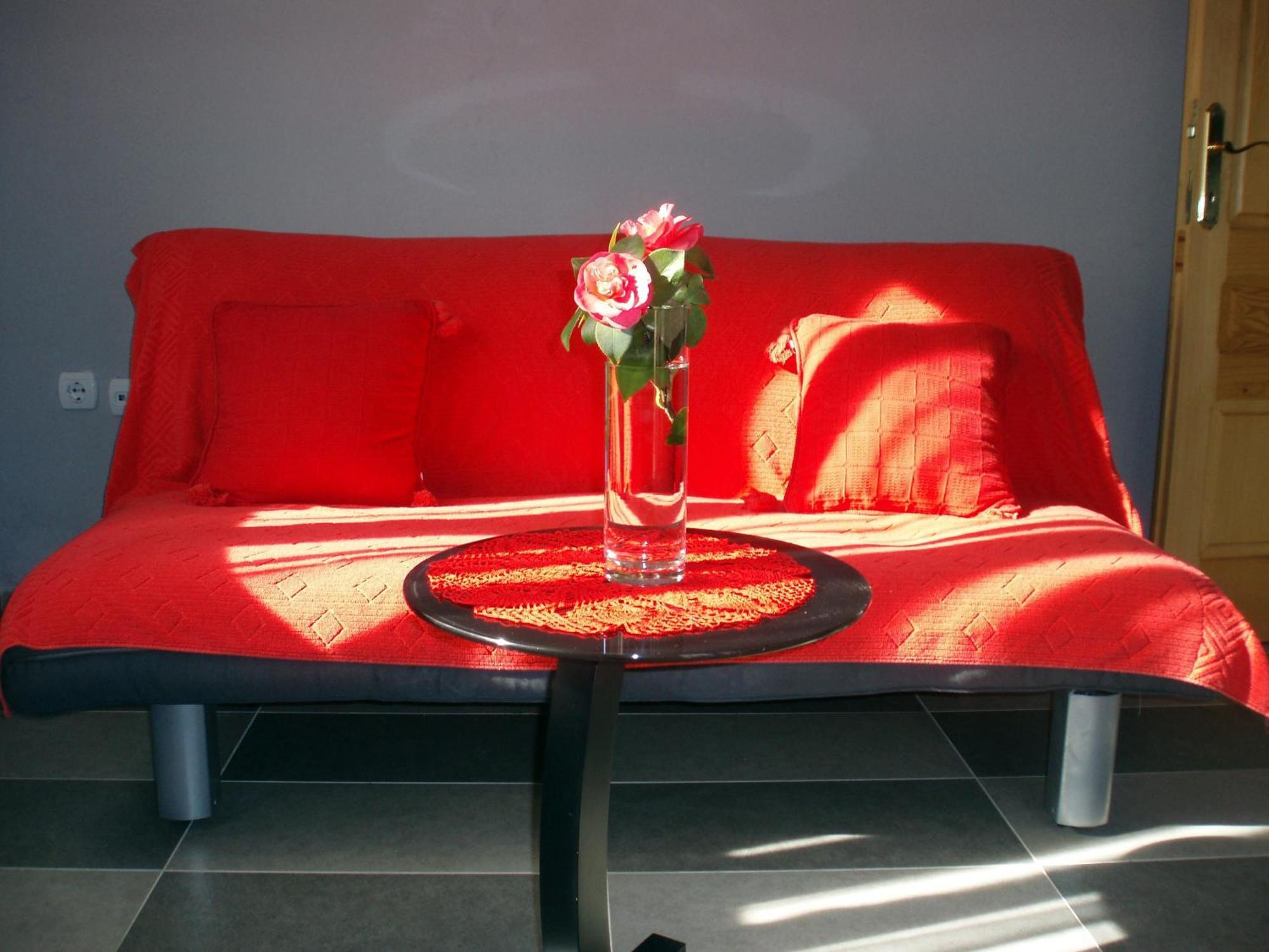 Djurovic Apartments Montenegro Kotor Extérieur photo